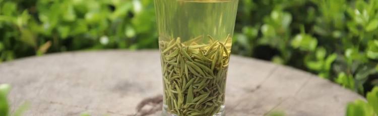 车云山茶叶