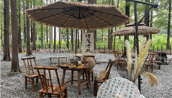 林间有鱼·杉屿森林露营地
